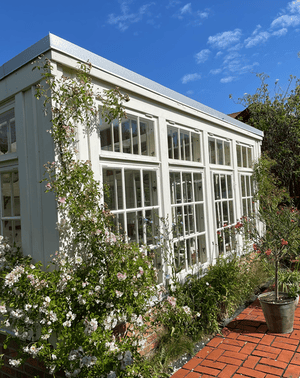 Vitt orangeri med spröjsade verandafönster, omgärdat av blommande rosor och tegelstensgång i trädgårdsmiljö under blå himmel.
